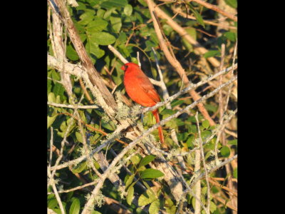 DSC_0017b.JPG
