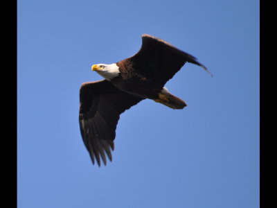 DSC_0274b.JPG