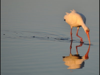 DSC_0566b.JPG