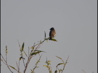 DSC_0028b.JPG