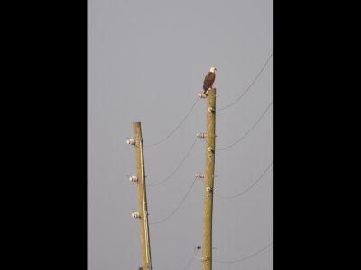 DSC_0136b.JPG