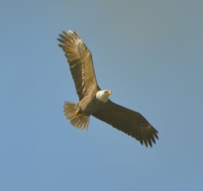 DSC_0287b.JPG