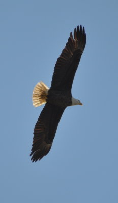 DSC_0289b.JPG