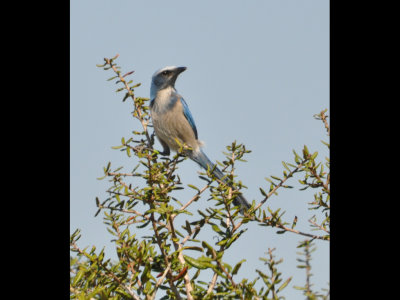 DSC_0471b.JPG