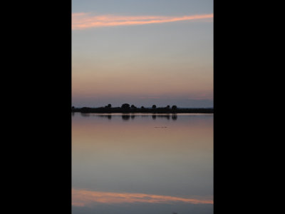 DSC_0687b.JPG