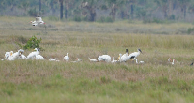 DSC_0272b.JPG