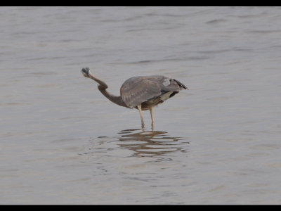 DSC_0410b.JPG
