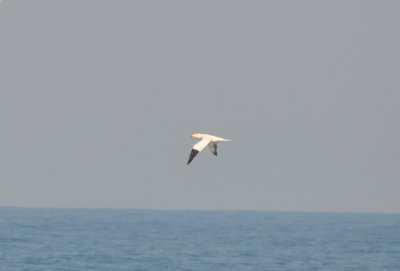 DSC_0566b.JPG