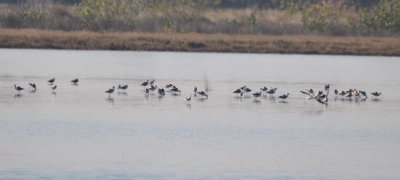 DSC_0199b.JPG