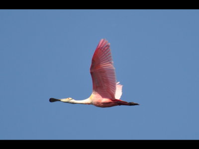 DSC_0349b.JPG