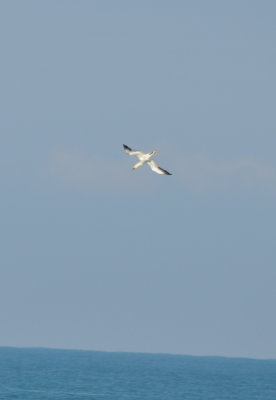 DSC_0456b.JPG
