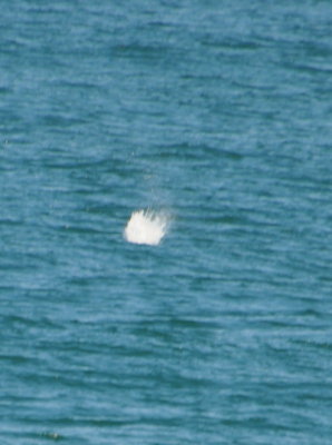 DSC_0461b.JPG