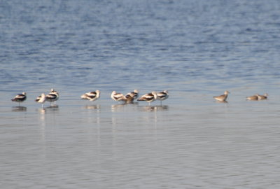 DSC_0795b.JPG