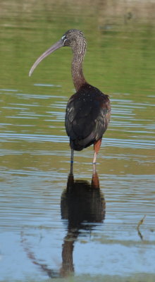 DSC_0845b.JPG