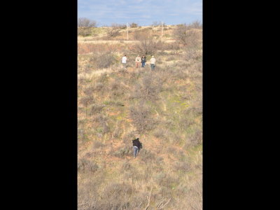 Our group got spread out over the hills looking for the Verdin.
