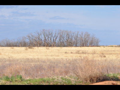 Here's some of the beautiful southwest Oklahoma landscape we enjoyed on the trip.