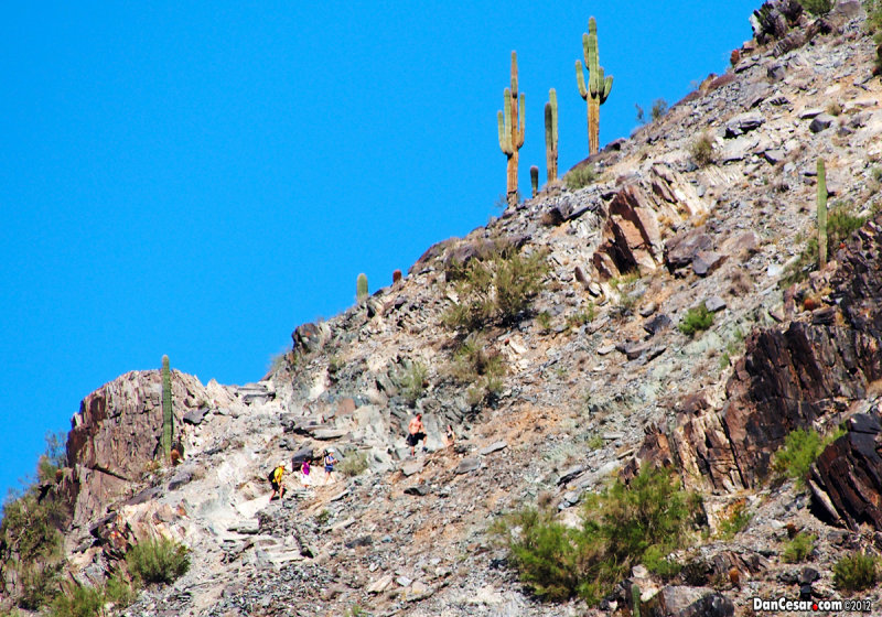 Phoenix Mountain Preserve