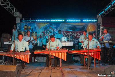 Beach Nights, Swim & Sun Festival