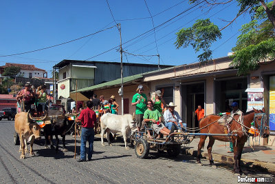 St. Patrick's Day Ox Cart Pub Crawl