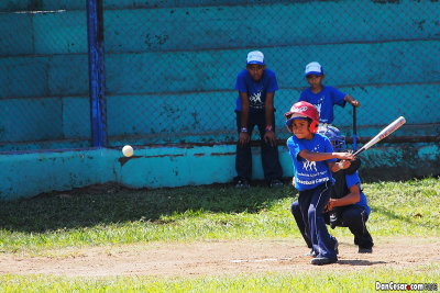 Baseball Camp