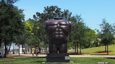 Fernando Botero's Male Torso