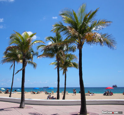 Fort Lauderdale Beach