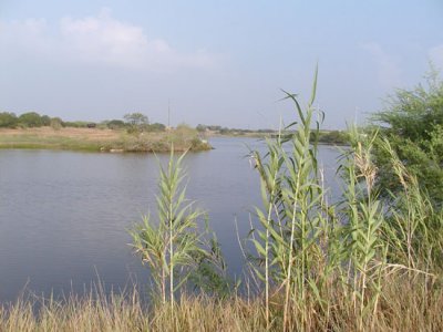 Lake La Cour