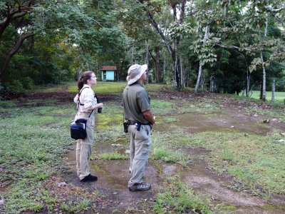 Birdwatching from 6 am - 12 noon for 2 days with Jose Carlos