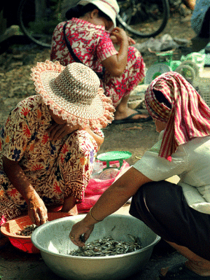 Vendors in the marketplace