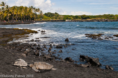 Punalu'u - Black sand beach-3