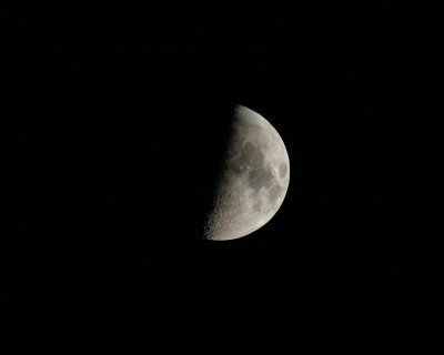 moon1.jpg