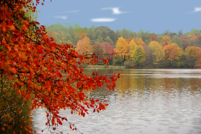Fall view