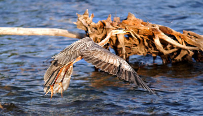 Heron-Takeoff.