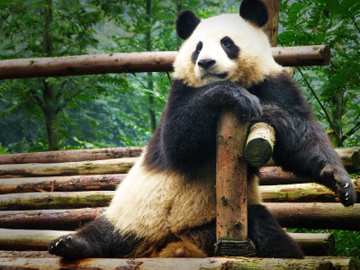 I'm so bored...What's for dinner tonight?