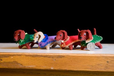 Dogs-722791-20.jpg