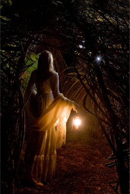 Deb in the Willows_D734375-1.jpg
