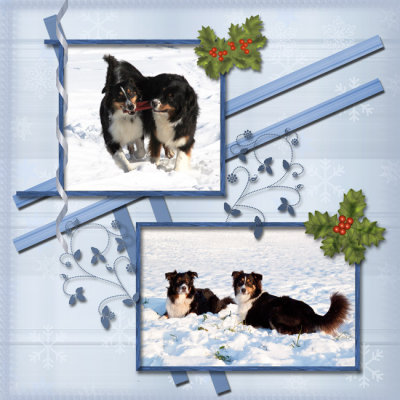 Unica and Ebony, wintertime