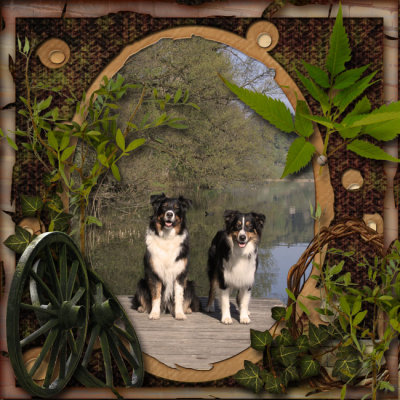 Unica and Ebony, Trlersee