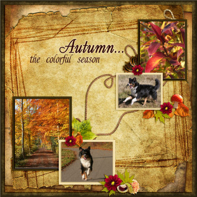 Autumn with Ebnony