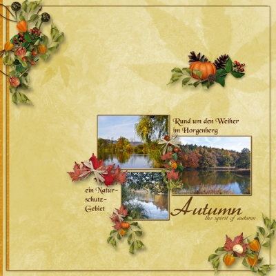 Autumn, Horgenbergweiher