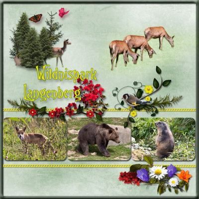 Wildpark Langenberg