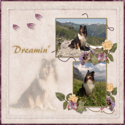 Loba dreaming of earlier times