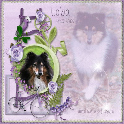 Loba