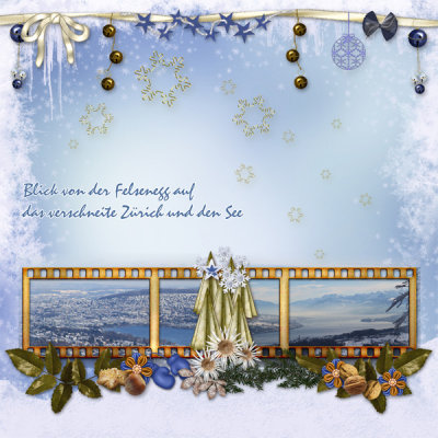 View to Zurich and the upper lake