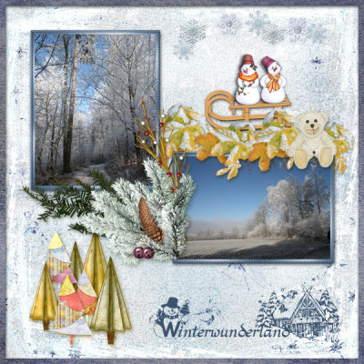 Winter scenery