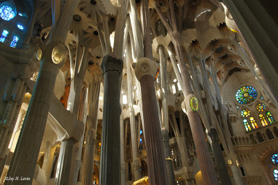  An Interior Image of the Sagrada Familia 