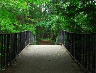 Footbridge To The Woods