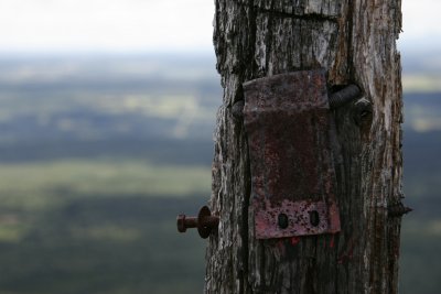 Mont Ham_01