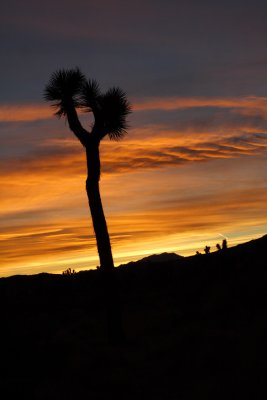 IMG_0974