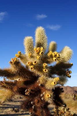 IMG_0999